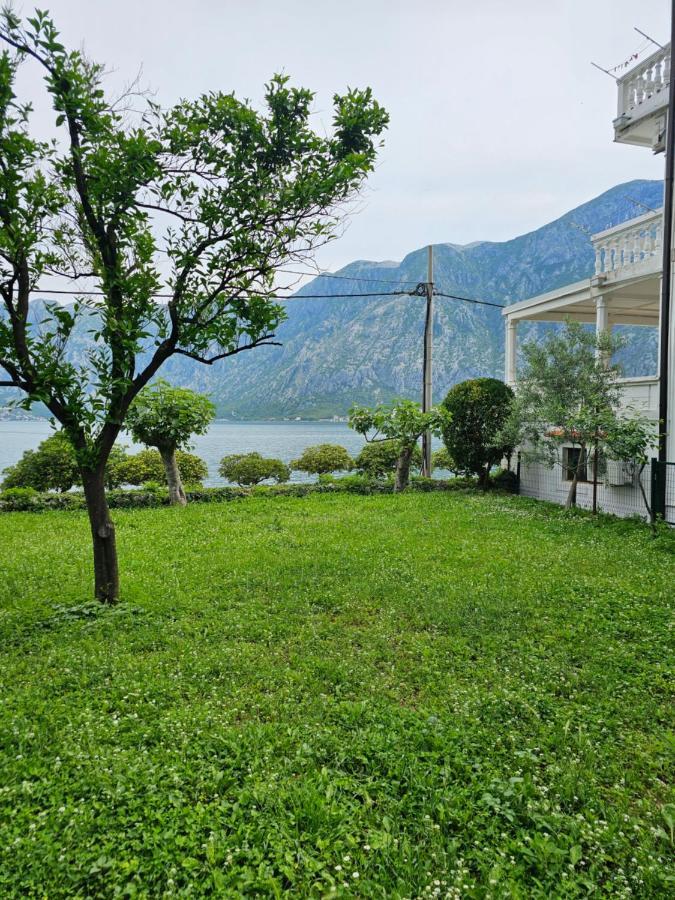 Apartments Popovic Kotor Eksteriør bilde