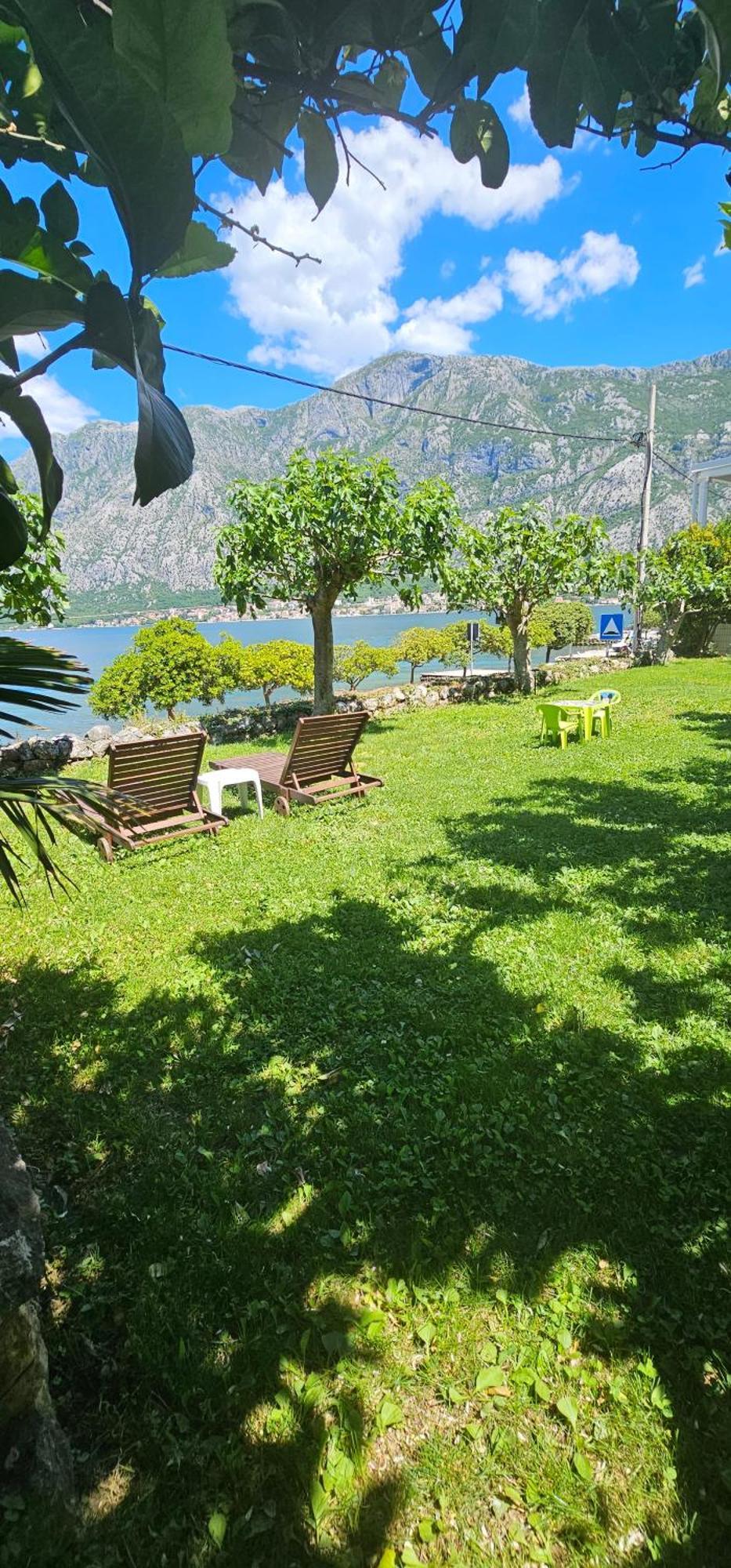 Apartments Popovic Kotor Eksteriør bilde