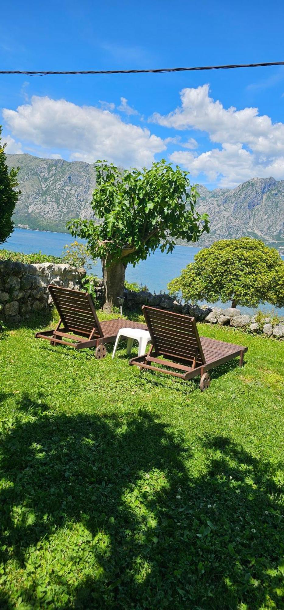 Apartments Popovic Kotor Eksteriør bilde