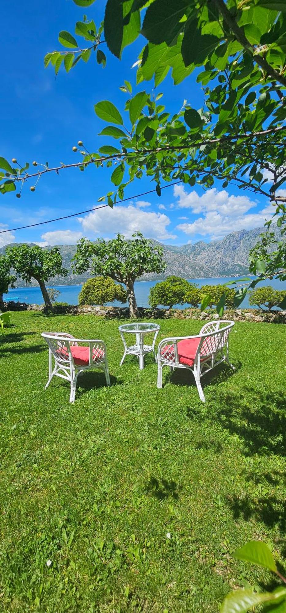Apartments Popovic Kotor Eksteriør bilde