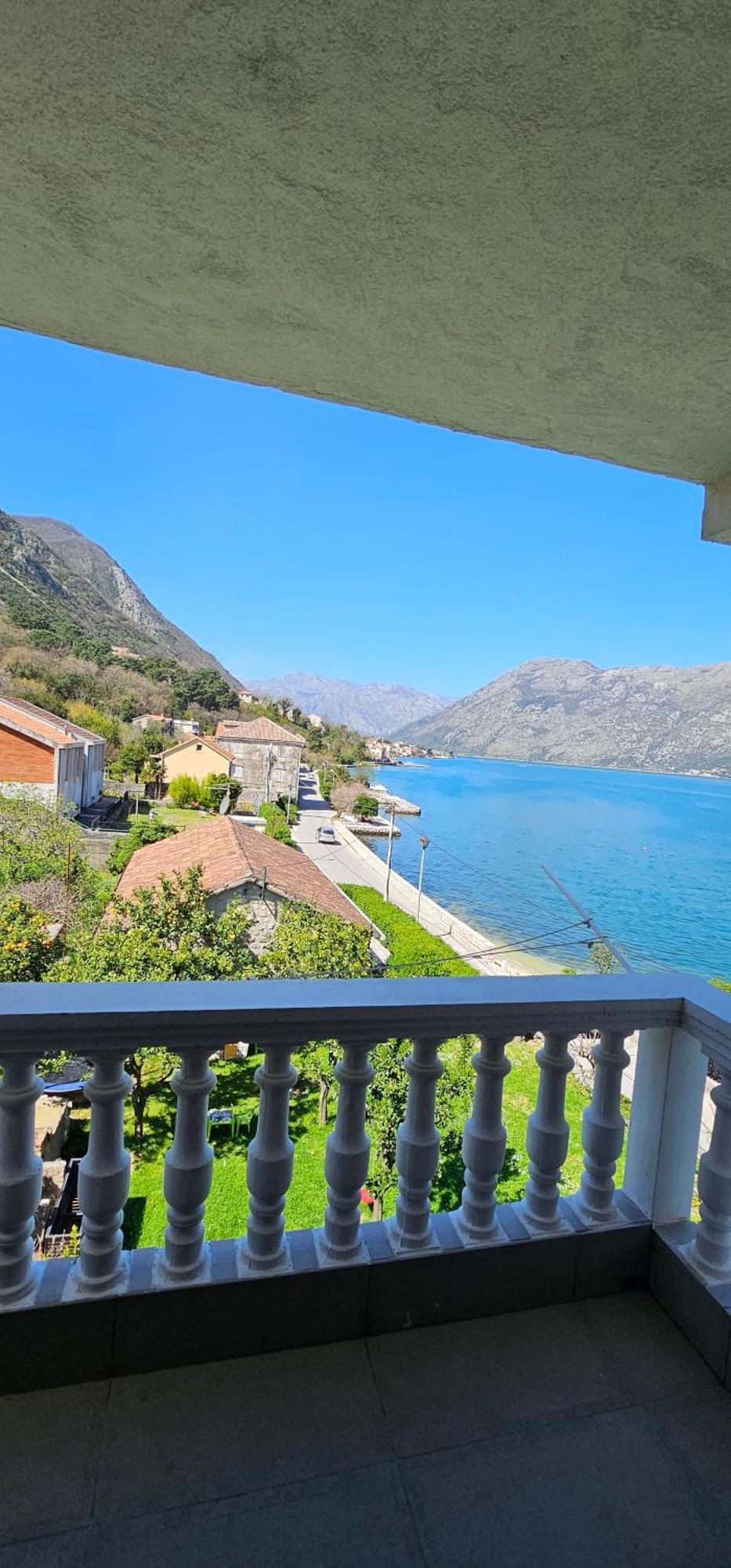 Apartments Popovic Kotor Rom bilde