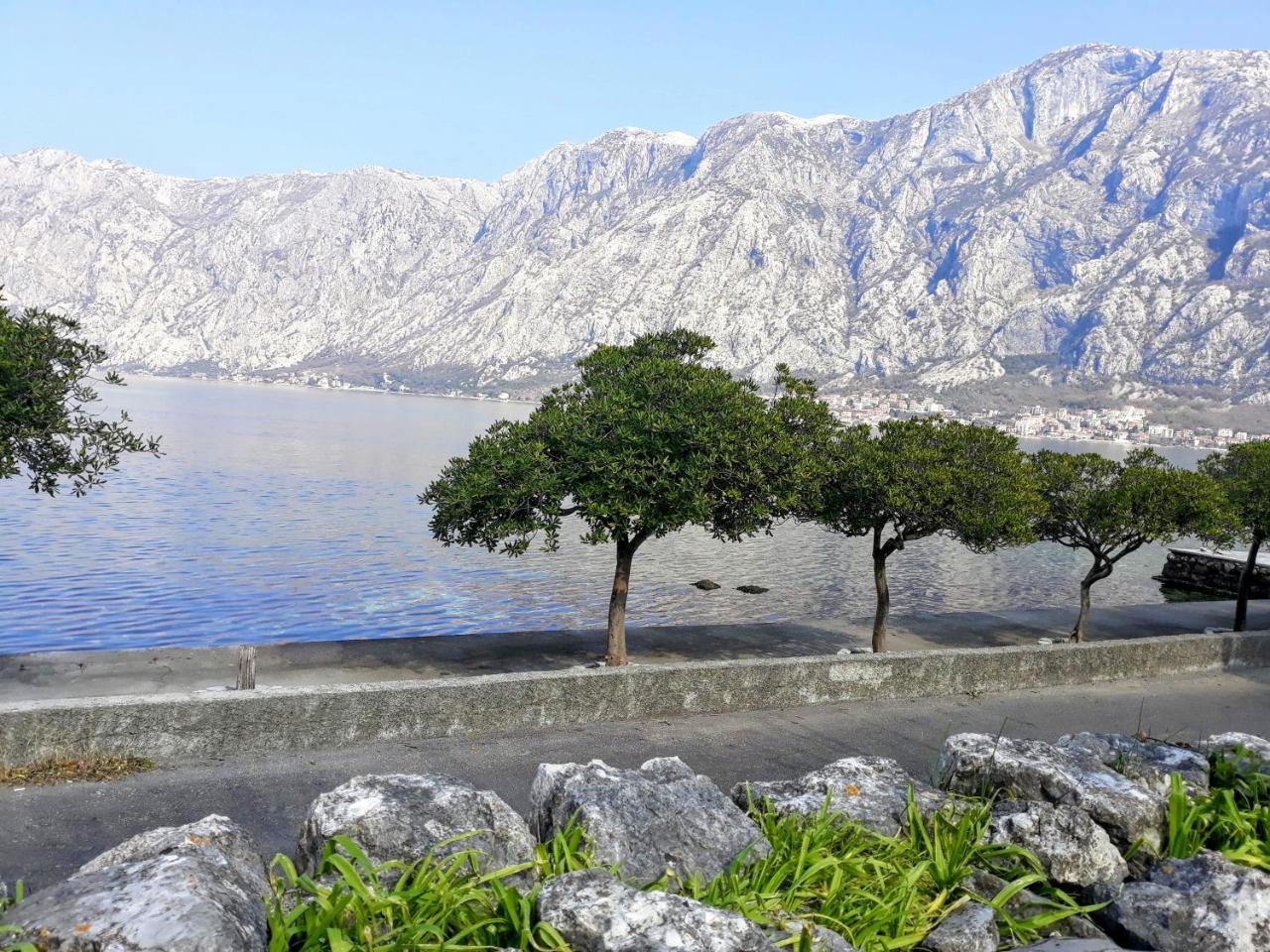 Apartments Popovic Kotor Eksteriør bilde